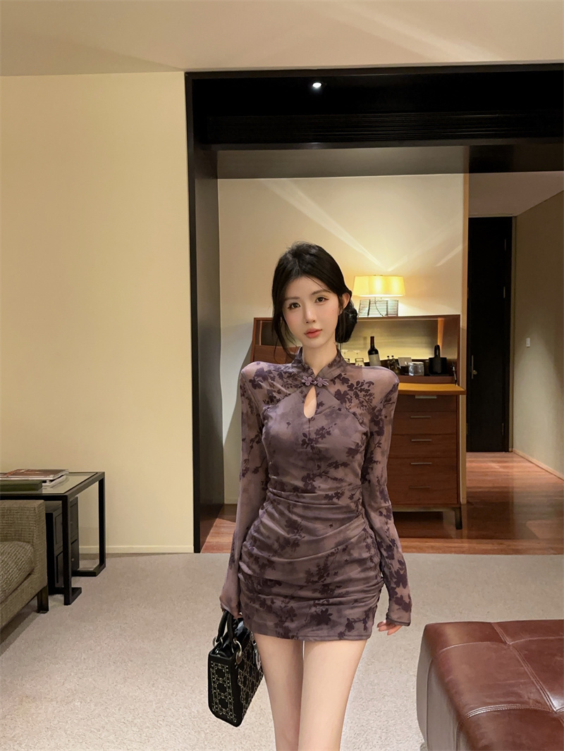 New Chinese Style Qipao Bodycon Dress Long Sleeve Mesh - Image 3