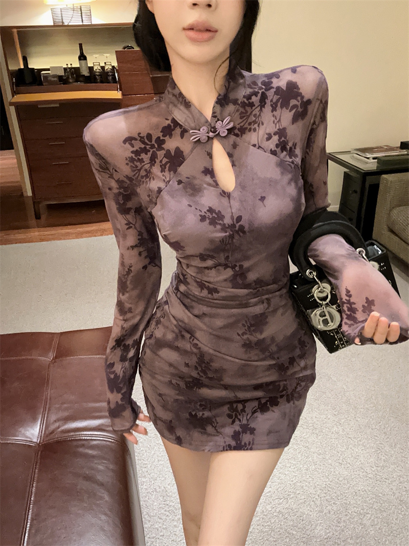 New Chinese Style Qipao Bodycon Dress Long Sleeve Mesh - Image 4